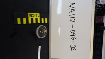 Media type: image;   Invertebrate Zoology 153482 Description: Live specimen.;